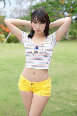 锦衣当国