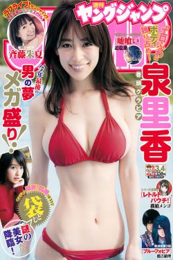 君子盟免费观看完整版高清电视剧