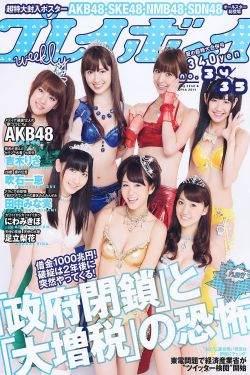 翼年代记