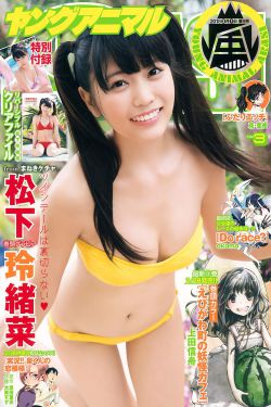 银狐电视剧